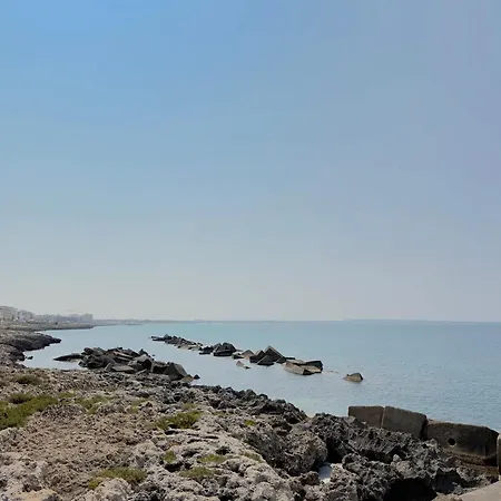 Amare Vecchio * Gallipoli