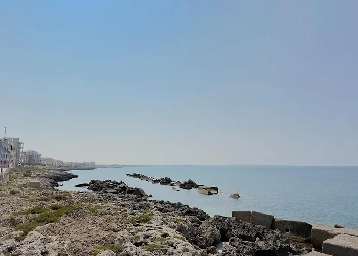 Amare Vecchio * Gallipoli